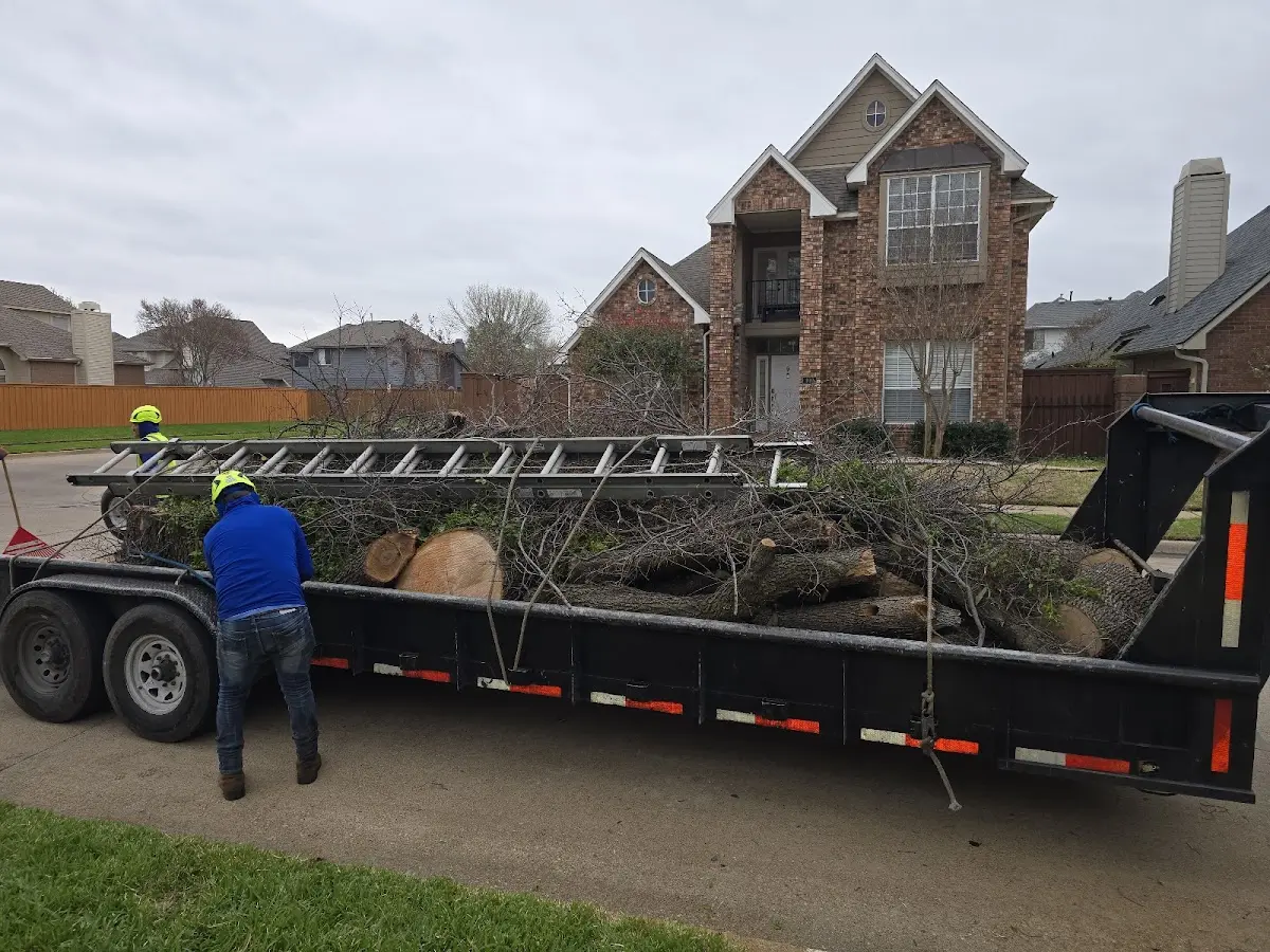 Expert Tree Fertilization with proper safety equipment in Spearsville
